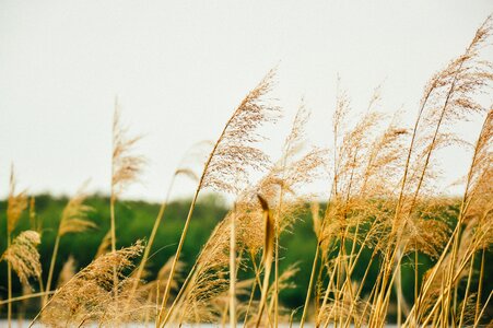 Free stock photo from Tookapic