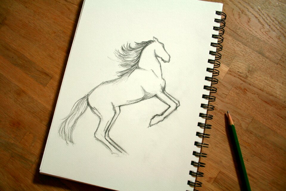 Free stock photo of drawing, night