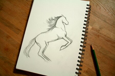 Free stock photo of drawing, night