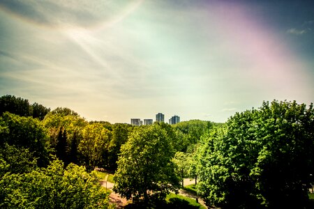 Free stock photo of landscape, skyscrapers, tree photo