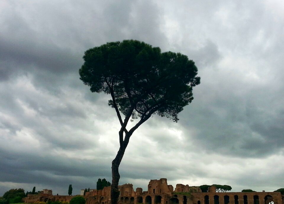 Free stock photo of palatino, rome