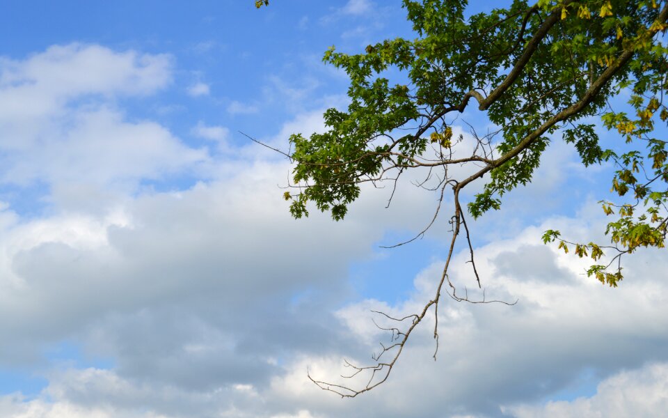Free stock photo from Tookapic