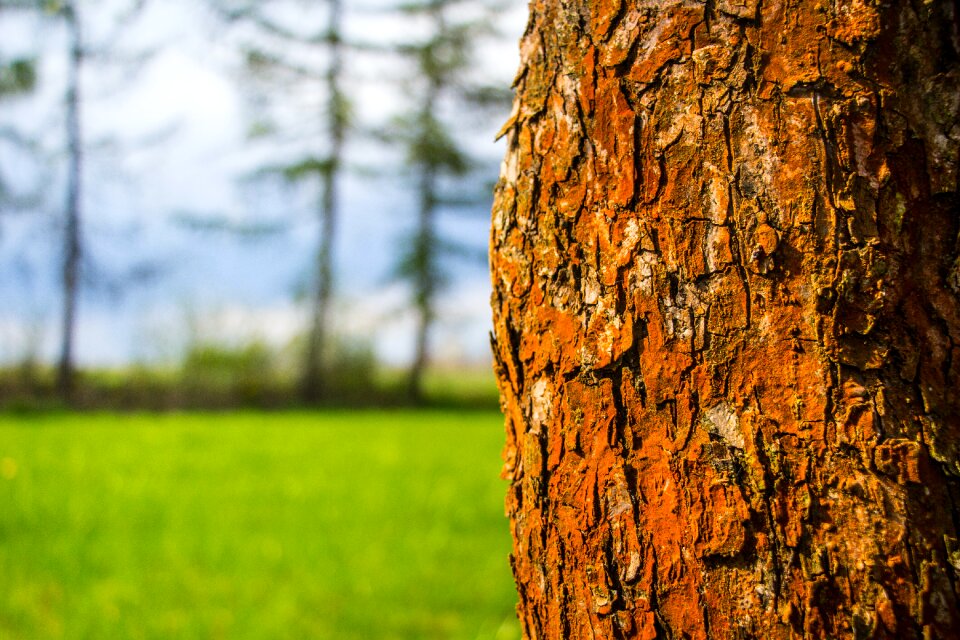 Free stock photo from Tookapic
