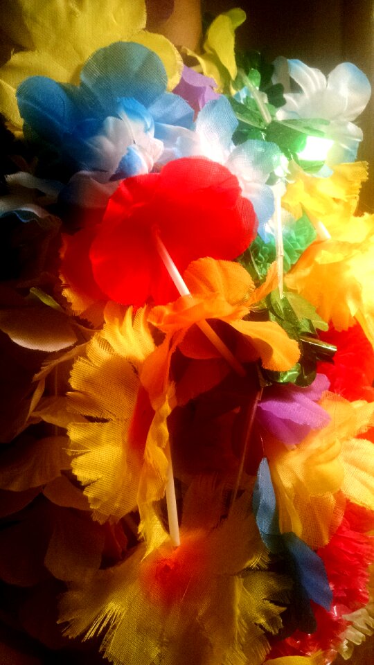 Free stock photo of colorful, lei, night