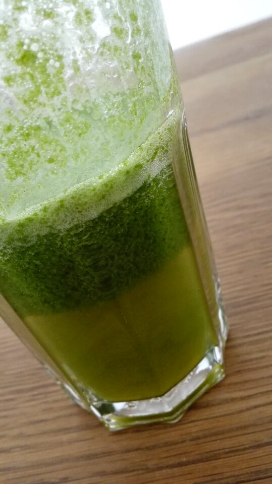 Free stock photo of detox, food, green