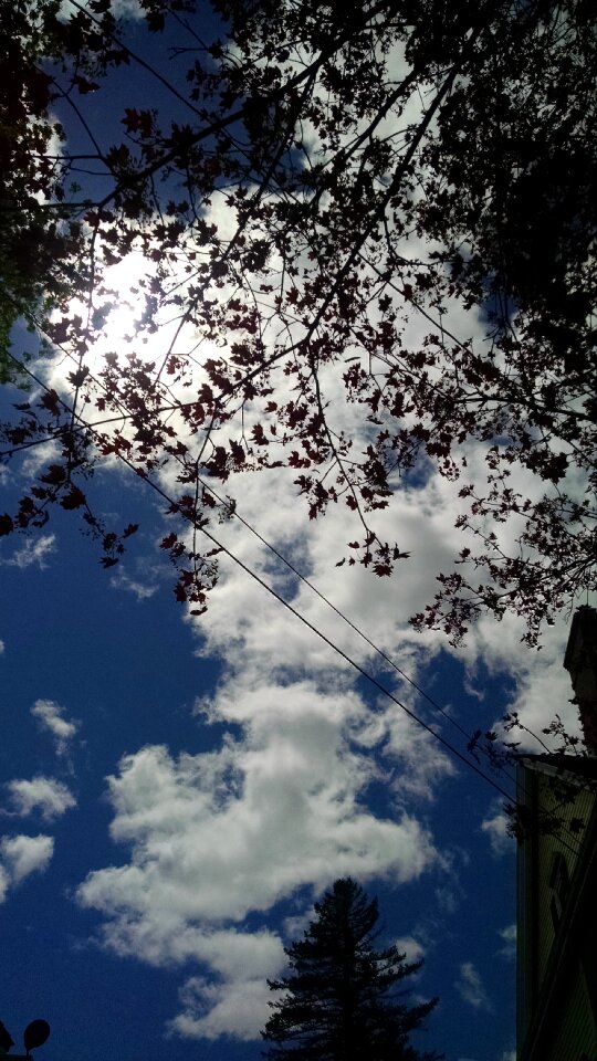 Free stock photo of shadow, sky, sun