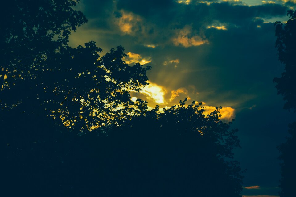 Free stock photo from Tookapic