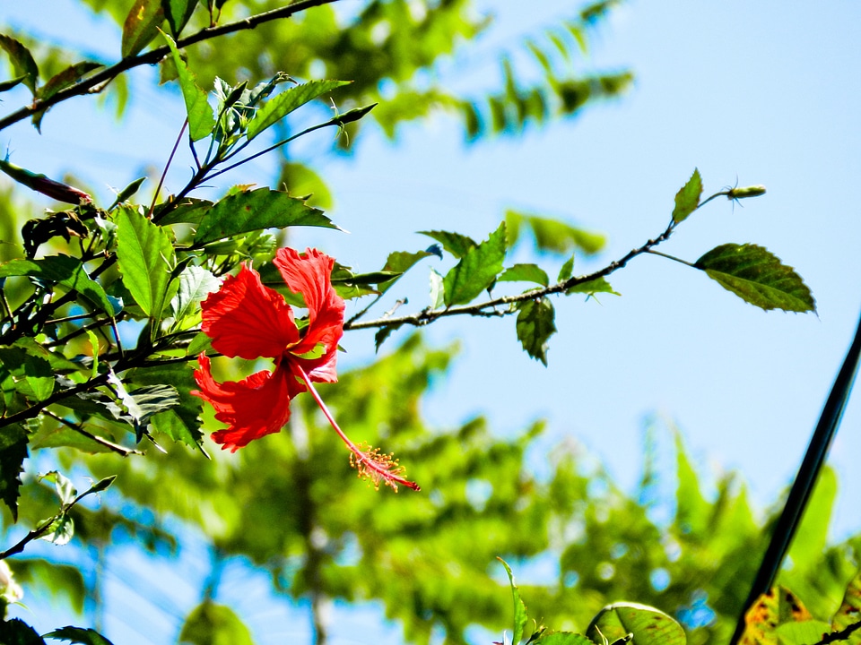 Park holiday summer