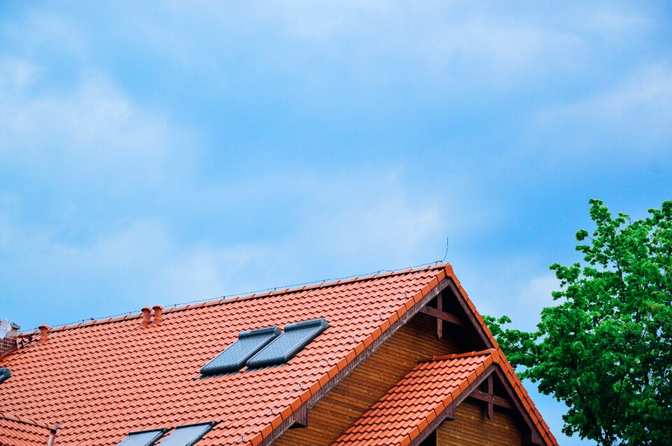 Free stock photo of roof, sky, tree