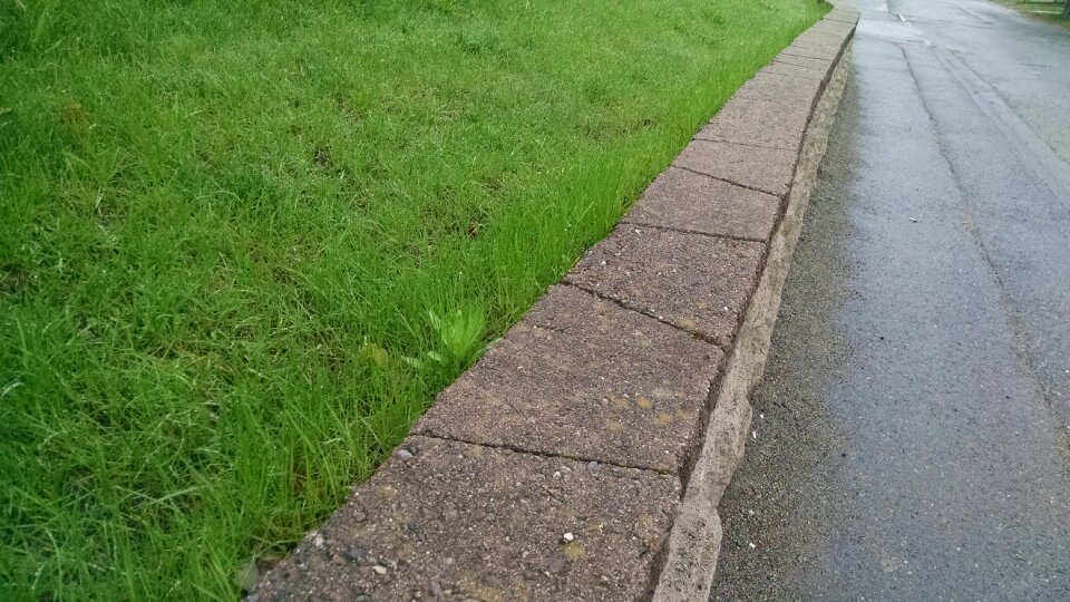 Free stock photo of grass, green, stone