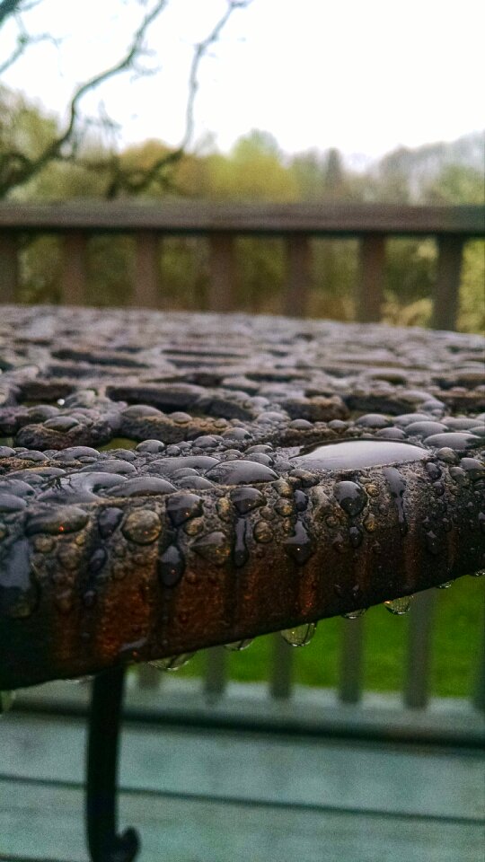 Free stock photo of jfjpop, rain, raindrops