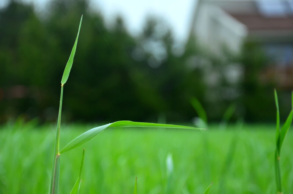 Free stock photo from Tookapic