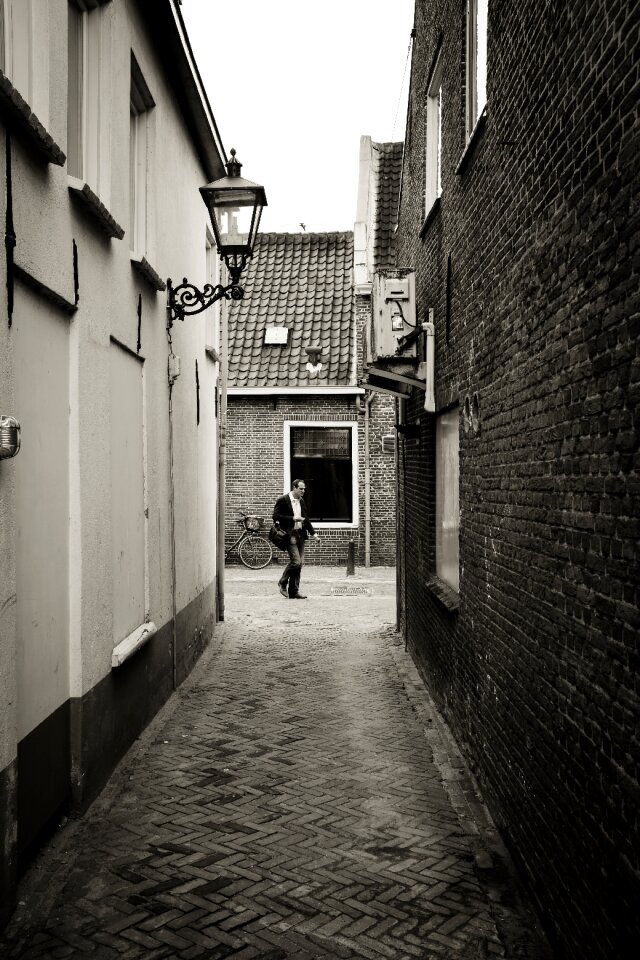 Free stock photo of breukelen
