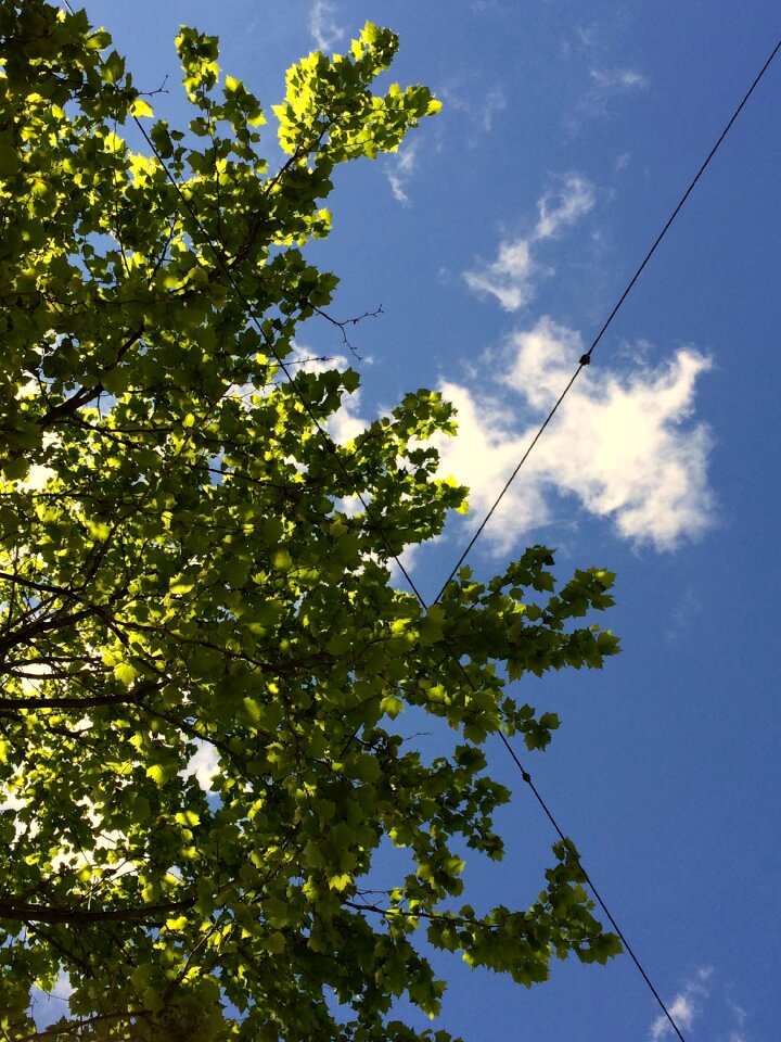 Free stock photo of blue, clouds, geometry