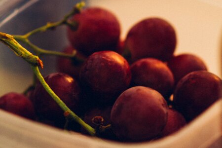 Free stock photo from Tookapic