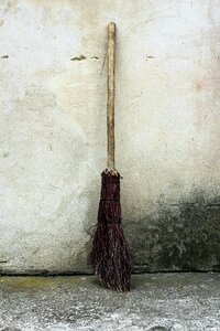 Free stock photo from Tookapic