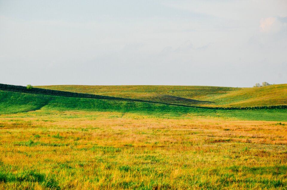 Free stock photo from Tookapic