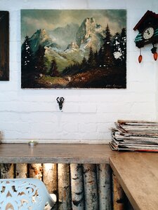 Free stock photo of design, forest, interior