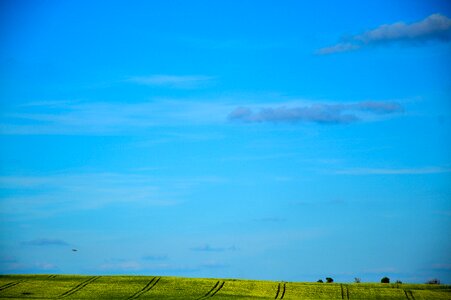 Free stock photo from Tookapic