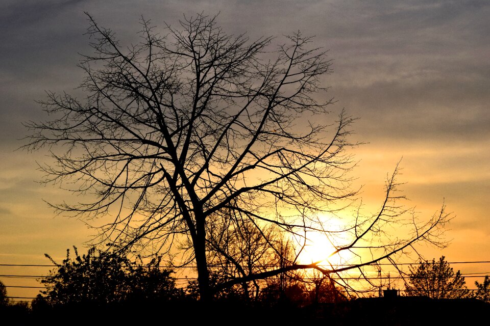 Free stock photo of sunset