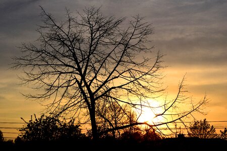 Free stock photo of sunset