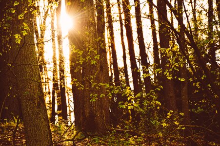 Free stock photo from Tookapic