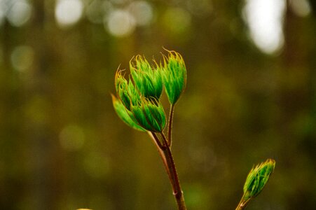 Free stock photo from Tookapic