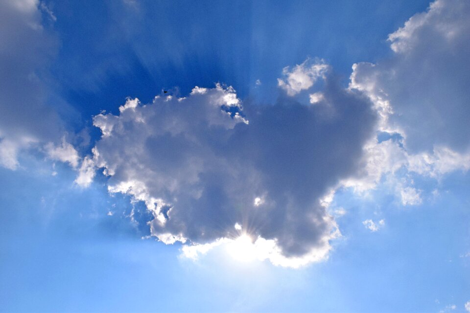 Free stock photo from Tookapic