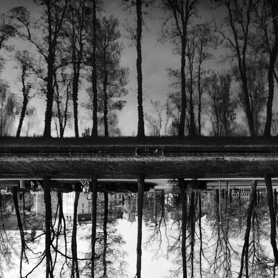 Free stock photo of reflection, water