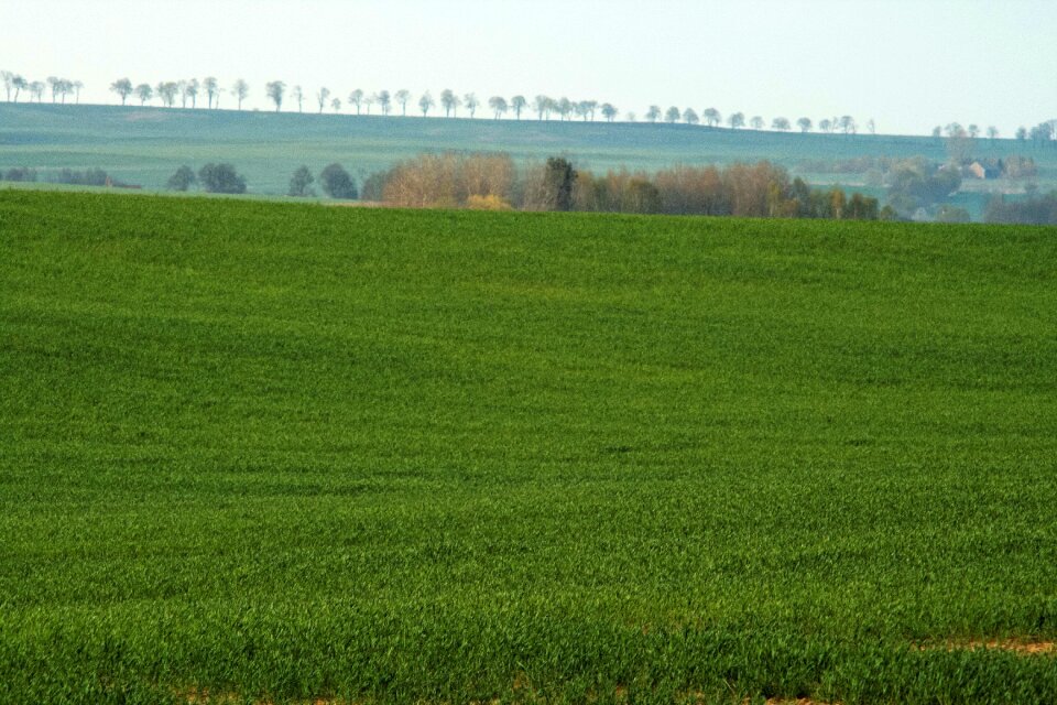 Free stock photo of field, green, tress