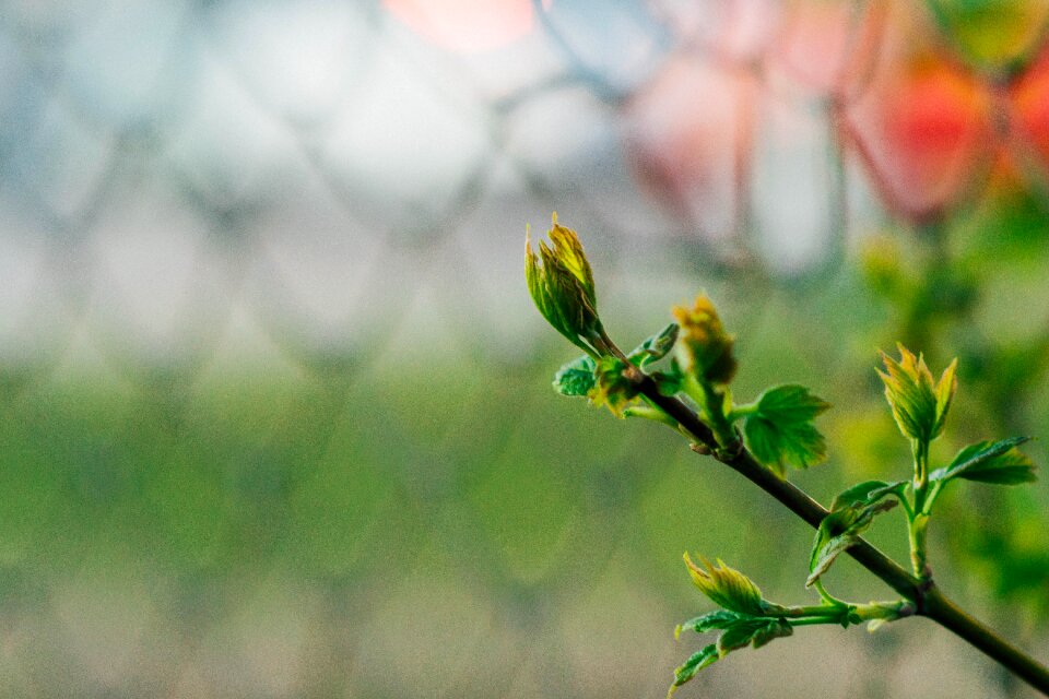 Free stock photo from Tookapic