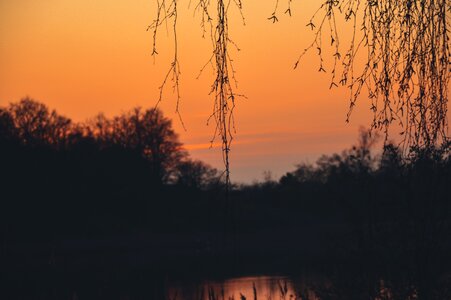 Free stock photo from Tookapic