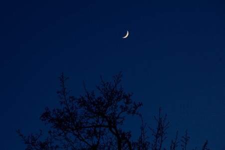 Free stock photo of moon, night, sky