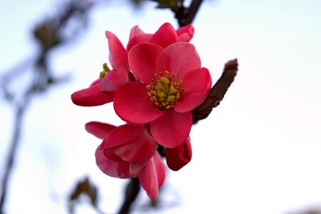 Free stock photo from Tookapic