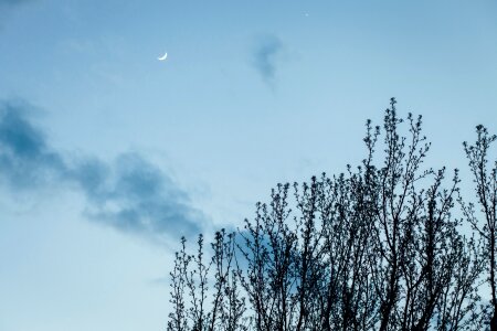 Free stock photo of moon, nature, sky photo