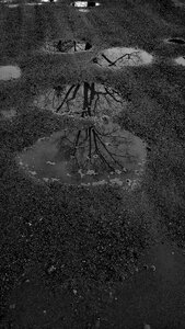 Free stock photo of gravel, puddle, reflections photo