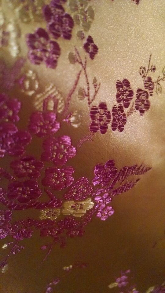 Free stock photo of cherry blossom, dress, flowers