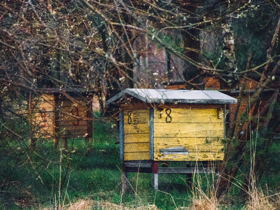Free stock photo of abandoned, bee garden, beehive