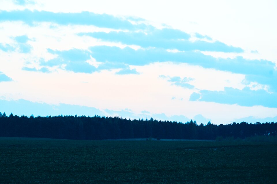 Free stock photo of forest, sky