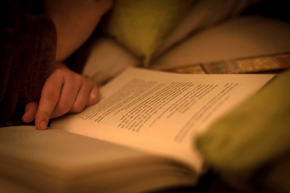 Free stock photo of night