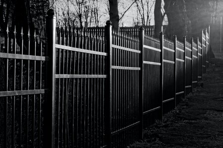 Free stock photo of fence, light, sun photo
