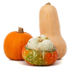 Fresh gourd halloween photo