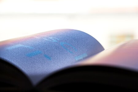 Free stock photo from Tookapic