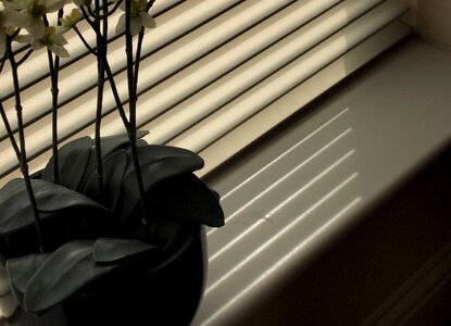 Free stock photo from Tookapic
