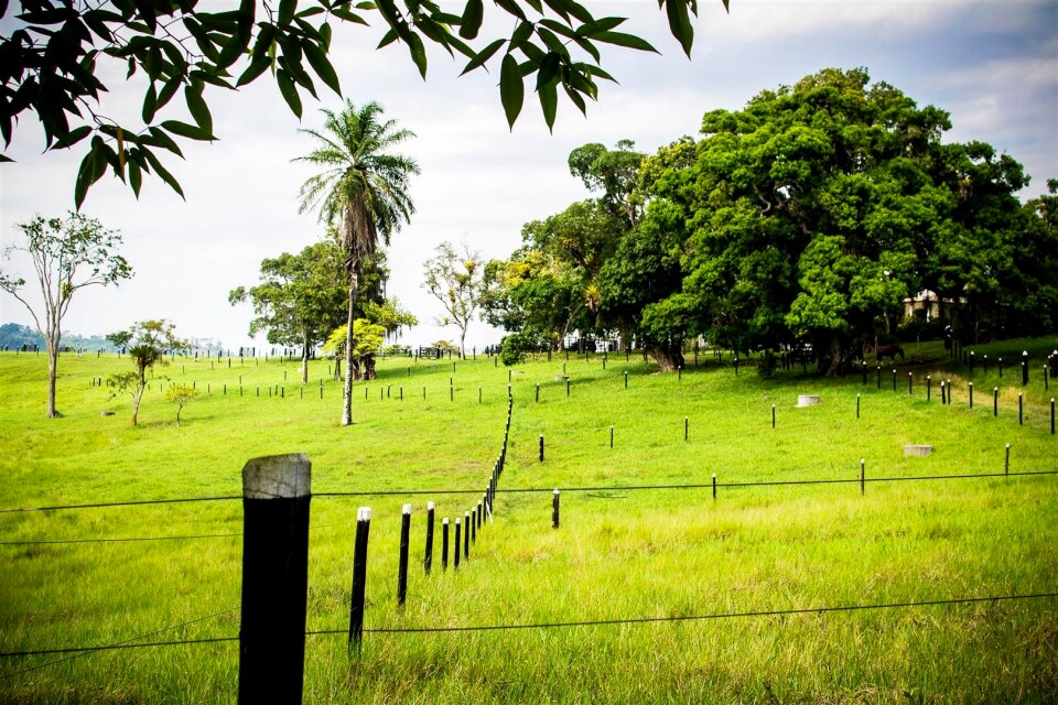 Free stock photo of bahia, brazil, d3100