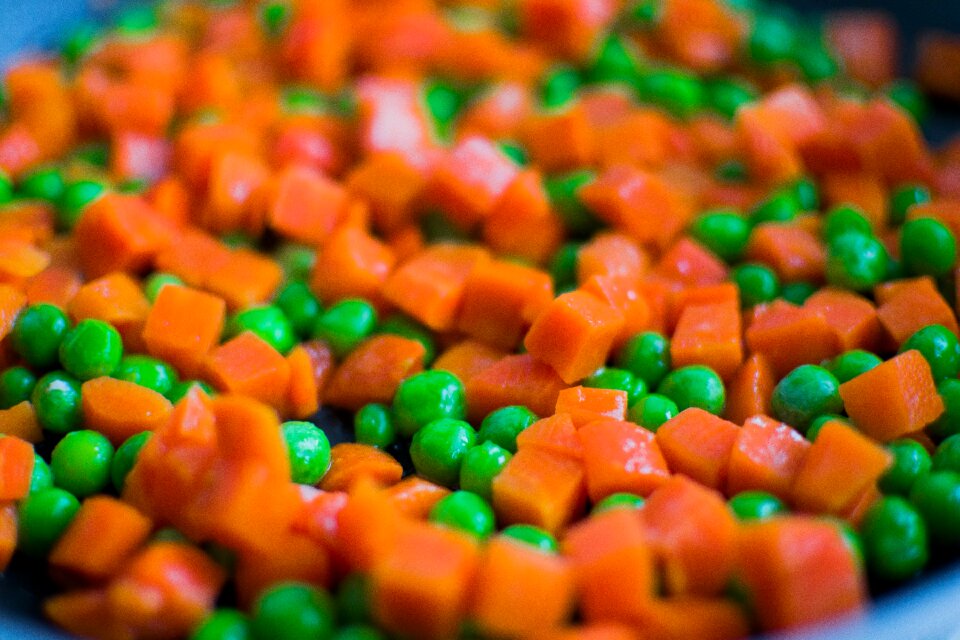 Free stock photo of abundance, blur, bright
