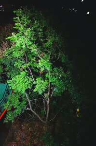 Free stock photo of night