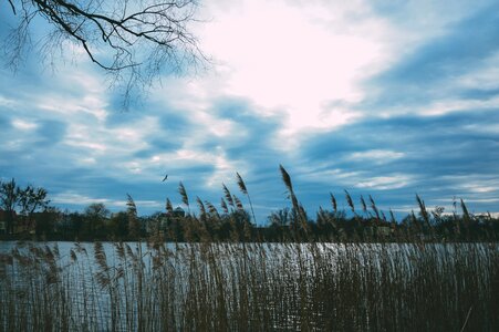 Free stock photo from Tookapic