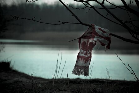 Free stock photo from Tookapic