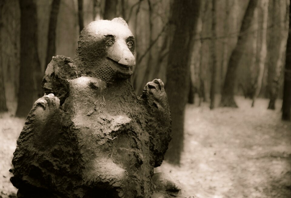 Free stock photo of bear, creepy, forest